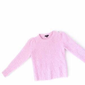 J. Crew Soft Pink Crew Neck Sweater